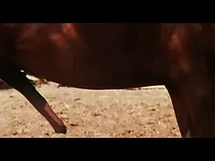 彼女のための彼女の愛情は、二人は拒否した エロ 動画 女子 の ため の