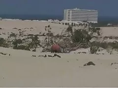 感情的に動作するように三つのパターン 女 用 の エロ 動画